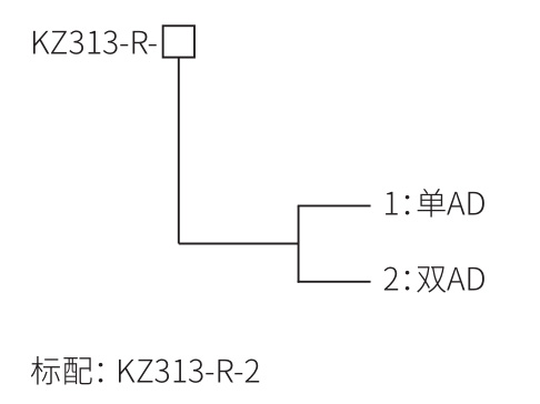 双称重量变送器